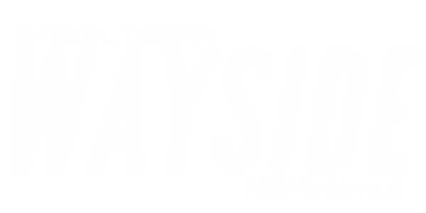 Wayside Physical Therapy and Performance