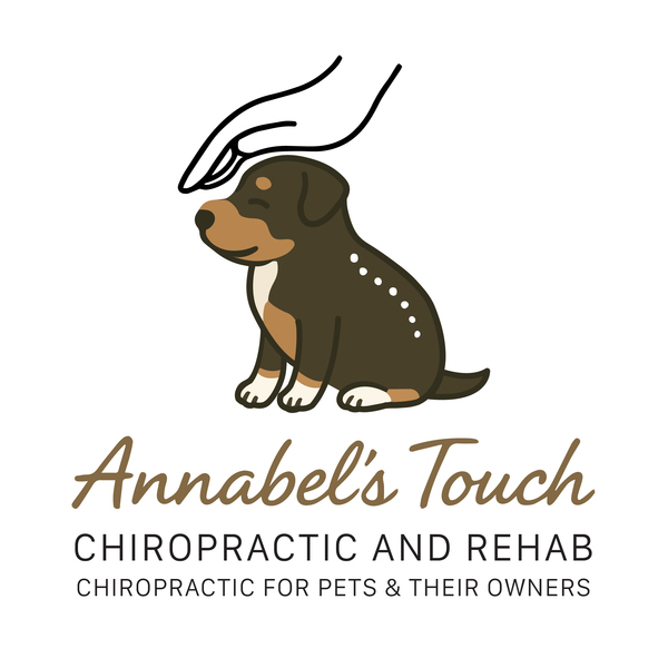 Annabel's Touch Chiropractic and Rehab