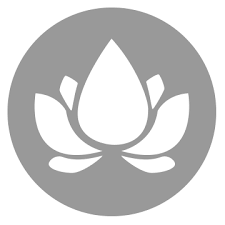Lotus Acupuncture