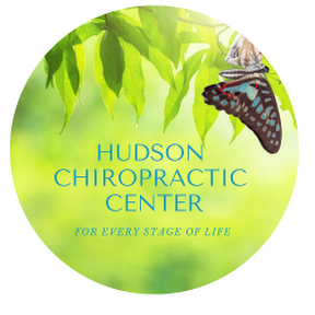 Hudson Chiropractic Center