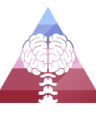 Book an Appointment with Ries Chiropractic for Chiropractic