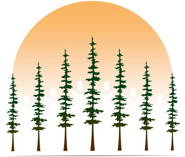 Formation Health Services LLC