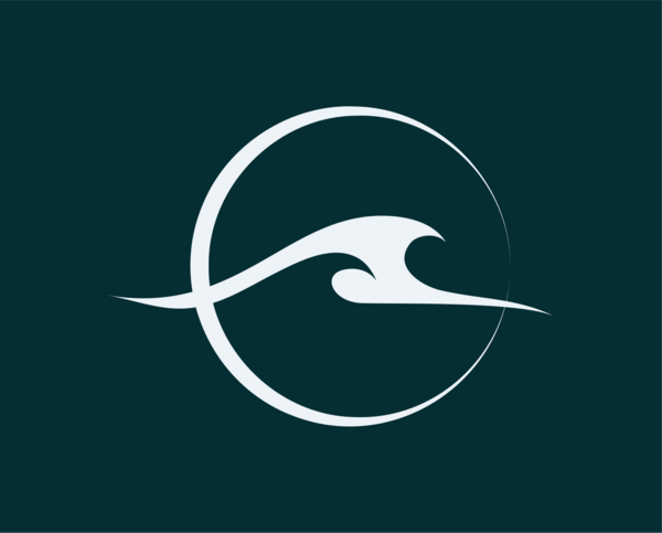 Current Physical Therapy and Sports Performance