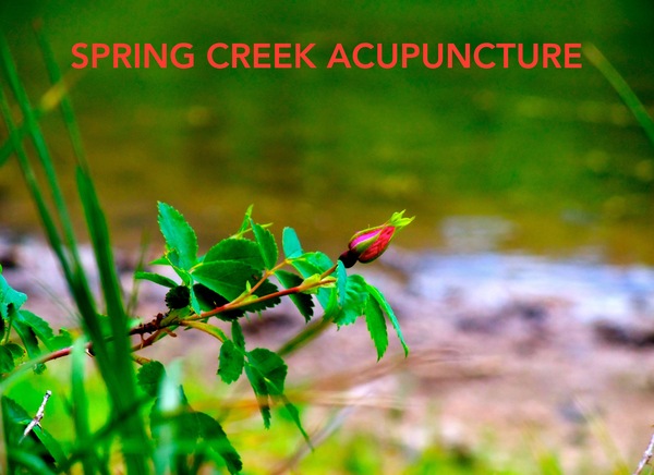 Spring Creek Acupuncture