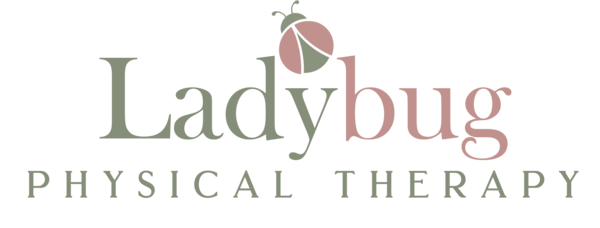 Ladybug Physical Therapy