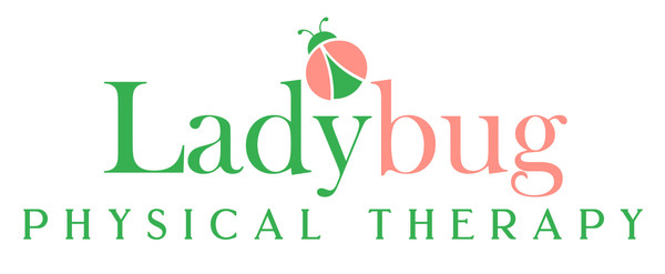 Ladybug Physical Therapy